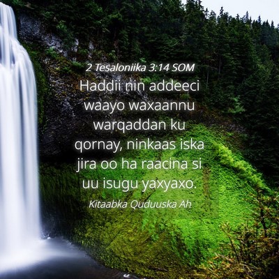 Picture 04 - 2 Tesaloniika 3:14 SOM - Haddii nin addeeci waayo waxaannu warqaddan ku - Bible Verse Picture