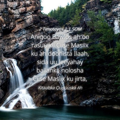 Picture 04 - 2 Timoteyos 1:1 SOM - Anigoo Bawlos ah oo rasuulkii Ciise Masiix ku ah - Bible Verse Picture