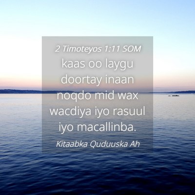 Picture 04 - 2 Timoteyos 1:11 SOM - kaas oo laygu doortay inaan noqdo mid wax wacdiya - Bible Verse Picture