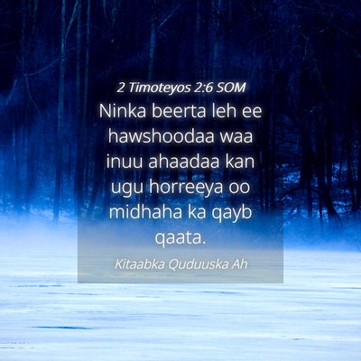 Picture 04 - 2 Timoteyos 2:6 SOM - Ninka beerta leh ee hawshoodaa waa inuu ahaadaa - Bible Verse Picture
