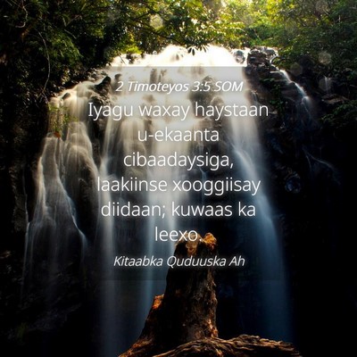 Picture 04 - 2 Timoteyos 3:5 SOM - Iyagu waxay haystaan u-ekaanta cibaadaysiga, - Bible Verse Picture
