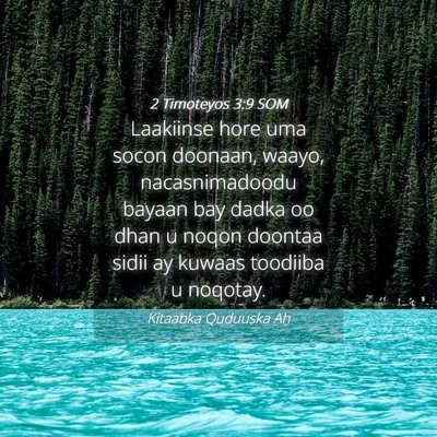 Picture 04 - 2 Timoteyos 3:9 SOM - Laakiinse hore uma socon doonaan, waayo, - Bible Verse Picture