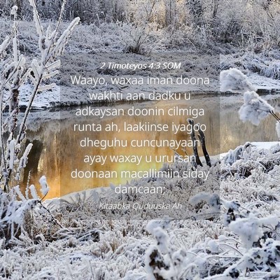 Picture 04 - 2 Timoteyos 4:3 SOM - Waayo, waxaa iman doona wakhti aan dadku u - Bible Verse Picture