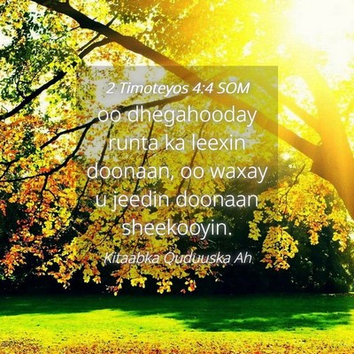 Picture 04 - 2 Timoteyos 4:4 SOM - oo dhegahooday runta ka leexin doonaan, oo waxay - Bible Verse Picture