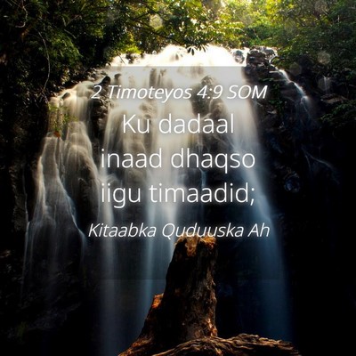 Picture 04 - 2 Timoteyos 4:9 SOM - Ku dadaal inaad dhaqso iigu - Bible Verse Picture