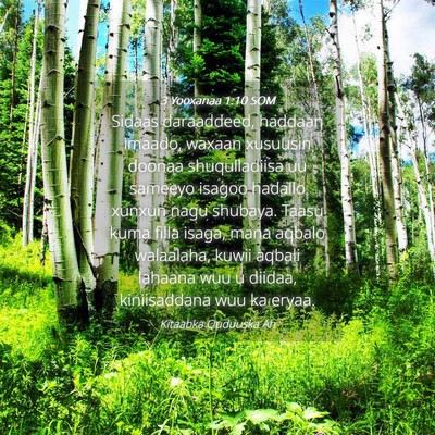 Picture 04 - 3 Yooxanaa 1:10 SOM - Sidaas daraaddeed, haddaan imaado, waxaan - Bible Verse Picture