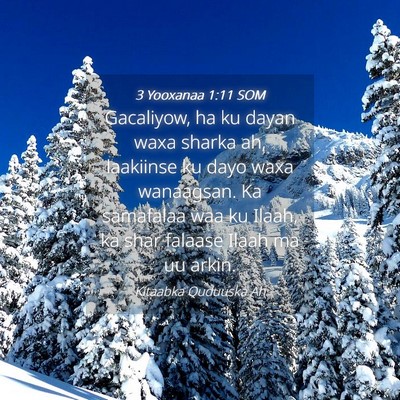 Picture 04 - 3 Yooxanaa 1:11 SOM - Gacaliyow, ha ku dayan waxa sharka ah, laakiinse - Bible Verse Picture