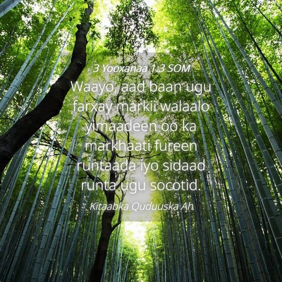 Picture 04 - 3 Yooxanaa 1:3 SOM - Waayo, aad baan ugu farxay markii walaalo - Bible Verse Picture