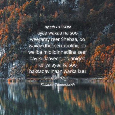 Picture 04 - Ayuub 1:15 SOM - ayaa waxaa na soo weeraray reer Shebaa, oo waxay - Bible Verse Picture