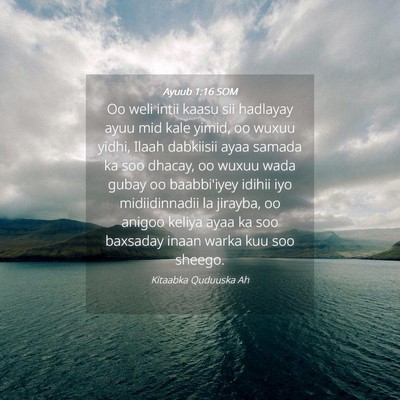 Picture 04 - Ayuub 1:16 SOM - Oo weli intii kaasu sii hadlayay ayuu mid kale - Bible Verse Picture