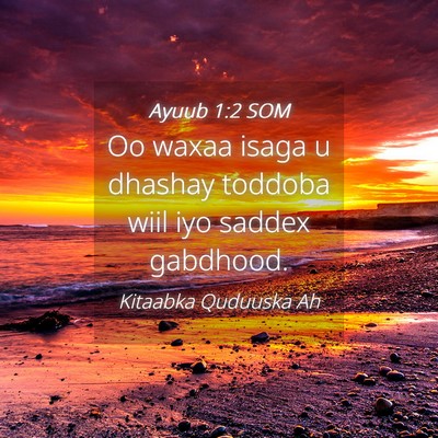 Picture 04 - Ayuub 1:2 SOM - Oo waxaa isaga u dhashay toddoba wiil iyo saddex - Bible Verse Picture