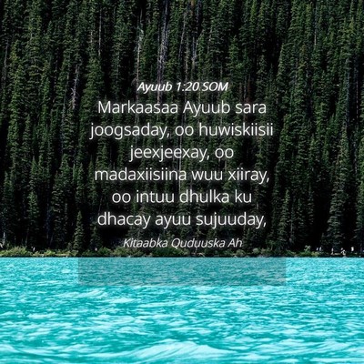 Picture 04 - Ayuub 1:20 SOM - Markaasaa Ayuub sara joogsaday, oo huwiskiisii - Bible Verse Picture