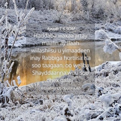 Picture 04 - Ayuub 1:6 SOM - Haddaba waxaa jirtay maalin ay Ilaah wiilashiisu - Bible Verse Picture