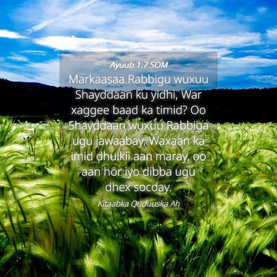 Picture 04 - Ayuub 1:7 SOM - Markaasaa Rabbigu wuxuu Shayddaan ku yidhi, War - Bible Verse Picture