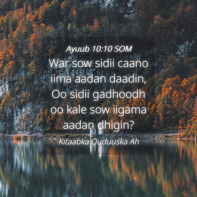 Picture 04 - Ayuub 10:10 SOM - War sow sidii caano iima aadan daadin, Oo sidii - Bible Verse Picture