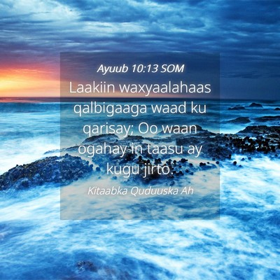 Picture 04 - Ayuub 10:13 SOM - Laakiin waxyaalahaas qalbigaaga waad ku qarisay; - Bible Verse Picture
