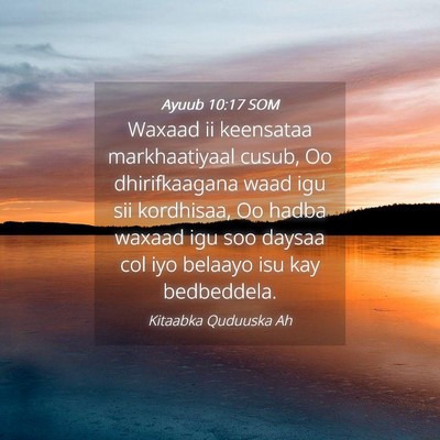 Picture 04 - Ayuub 10:17 SOM - Waxaad ii keensataa markhaatiyaal cusub, Oo - Bible Verse Picture