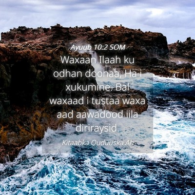 Picture 04 - Ayuub 10:2 SOM - Waxaan Ilaah ku odhan doonaa, Ha i xukumine. Bal - Bible Verse Picture