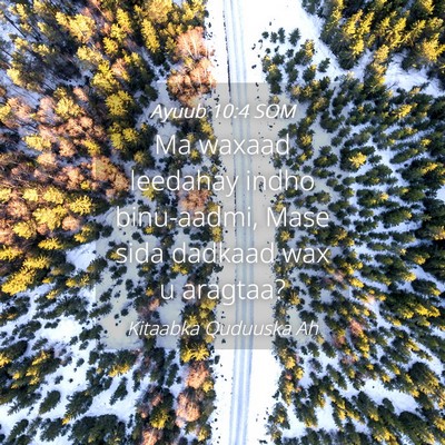 Picture 04 - Ayuub 10:4 SOM - Ma waxaad leedahay indho binu-aadmi, Mase sida - Bible Verse Picture