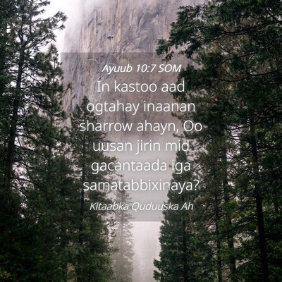 Picture 04 - Ayuub 10:7 SOM - In kastoo aad ogtahay inaanan sharrow ahayn, Oo - Bible Verse Picture