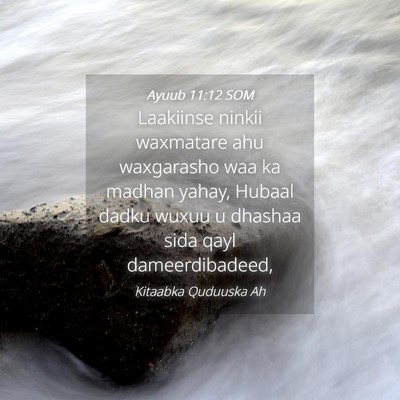 Picture 04 - Ayuub 11:12 SOM - Laakiinse ninkii waxmatare ahu waxgarasho waa ka - Bible Verse Picture
