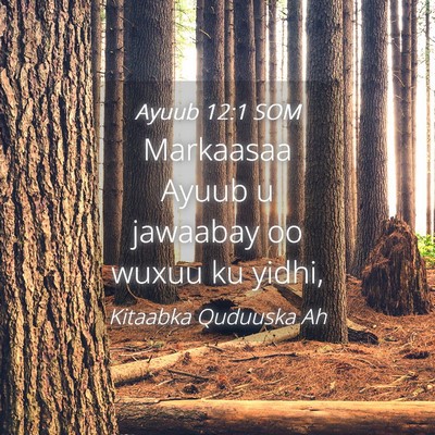 Picture 04 - Ayuub 12:1 SOM - Markaasaa Ayuub u jawaabay oo wuxuu ku - Bible Verse Picture