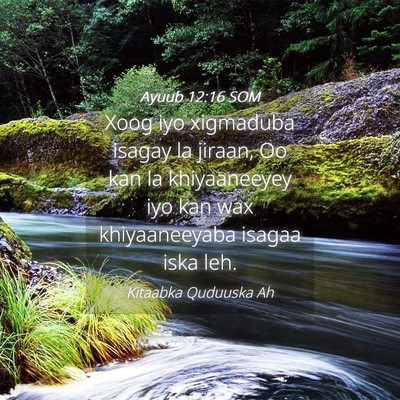 Picture 04 - Ayuub 12:16 SOM - Xoog iyo xigmaduba isagay la jiraan, Oo kan la - Bible Verse Picture