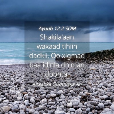 Picture 04 - Ayuub 12:2 SOM - Shakila'aan waxaad tihiin dadkii, Oo xigmad baa - Bible Verse Picture