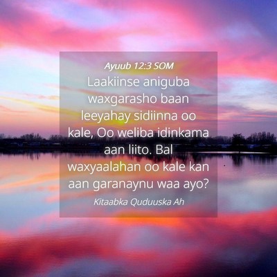 Picture 04 - Ayuub 12:3 SOM - Laakiinse aniguba waxgarasho baan leeyahay - Bible Verse Picture