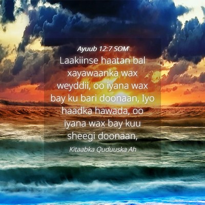 Picture 04 - Ayuub 12:7 SOM - Laakiinse haatan bal xayawaanka wax weyddii, oo - Bible Verse Picture