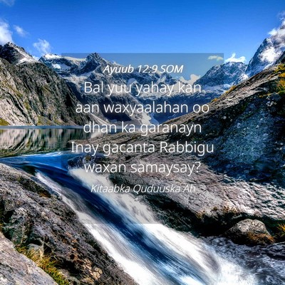 Picture 04 - Ayuub 12:9 SOM - Bal yuu yahay kan aan waxyaalahan oo dhan ka - Bible Verse Picture