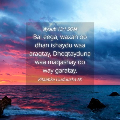 Picture 04 - Ayuub 13:1 SOM - Bal eega, waxan oo dhan ishaydu waa aragtay, - Bible Verse Picture