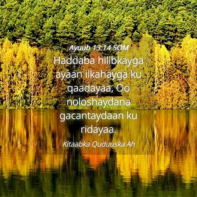 Picture 04 - Ayuub 13:14 SOM - Haddaba hilibkayga ayaan ilkahayga ku qaadayaa, - Bible Verse Picture