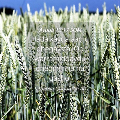 Picture 04 - Ayuub 13:17 SOM - Hadalkayga aad u dhegaysta, Oo warramiddaydu - Bible Verse Picture