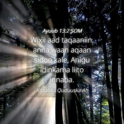 Picture 04 - Ayuub 13:2 SOM - Wixii aad taqaaniin, anna waan aqaan sidoo kale, - Bible Verse Picture
