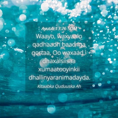 Picture 04 - Ayuub 13:26 SOM - Waayo, waxyaalo qadhaadh baad iga qortaa, Oo - Bible Verse Picture