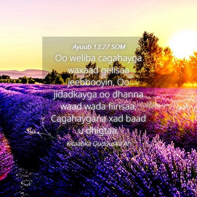 Picture 04 - Ayuub 13:27 SOM - Oo weliba cagahayga waxaad gelisaa jeebbooyin, Oo - Bible Verse Picture