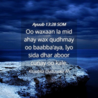 Picture 04 - Ayuub 13:28 SOM - Oo waxaan la mid ahay wax qudhmay oo baabba'aya, - Bible Verse Picture