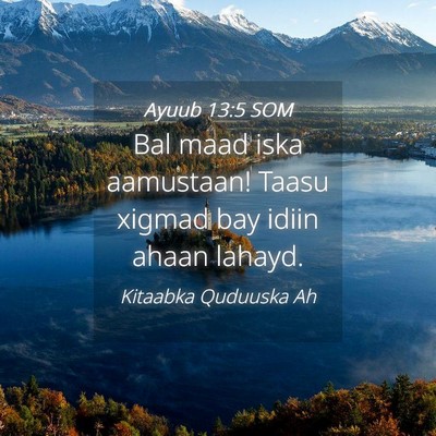 Picture 04 - Ayuub 13:5 SOM - Bal maad iska aamustaan! Taasu xigmad bay idiin - Bible Verse Picture