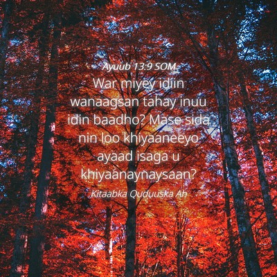 Picture 04 - Ayuub 13:9 SOM - War miyey idiin wanaagsan tahay inuu idin baadho? - Bible Verse Picture