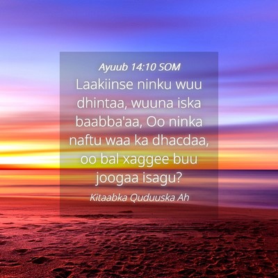 Picture 04 - Ayuub 14:10 SOM - Laakiinse ninku wuu dhintaa, wuuna iska - Bible Verse Picture