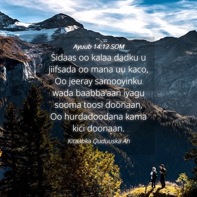 Picture 04 - Ayuub 14:12 SOM - Sidaas oo kalaa dadku u jiifsada oo mana uu kaco, - Bible Verse Picture