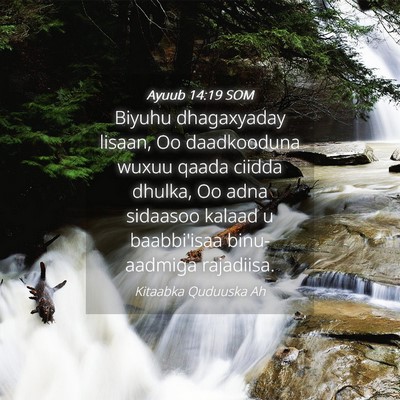 Picture 04 - Ayuub 14:19 SOM - Biyuhu dhagaxyaday lisaan, Oo daadkooduna wuxuu - Bible Verse Picture