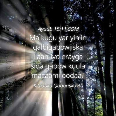 Picture 04 - Ayuub 15:11 SOM - Ma kugu yar yihiin qalbiqabowjiska Ilaah Iyo - Bible Verse Picture