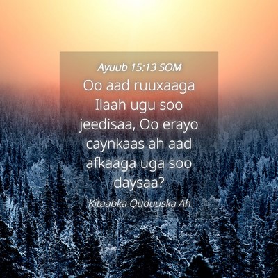Picture 04 - Ayuub 15:13 SOM - Oo aad ruuxaaga Ilaah ugu soo jeedisaa, Oo erayo - Bible Verse Picture