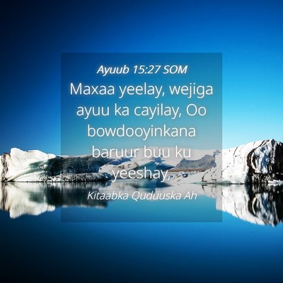 Picture 04 - Ayuub 15:27 SOM - Maxaa yeelay, wejiga ayuu ka cayilay, Oo - Bible Verse Picture