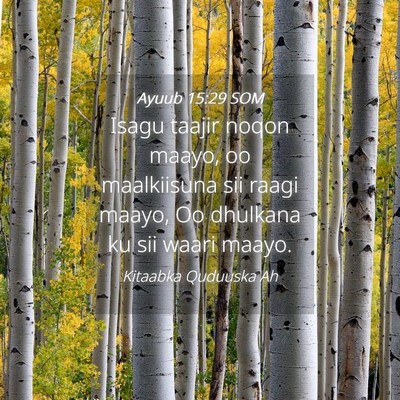 Picture 04 - Ayuub 15:29 SOM - Isagu taajir noqon maayo, oo maalkiisuna sii - Bible Verse Picture