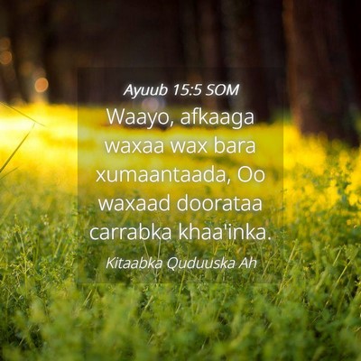 Picture 04 - Ayuub 15:5 SOM - Waayo, afkaaga waxaa wax bara xumaantaada, Oo - Bible Verse Picture