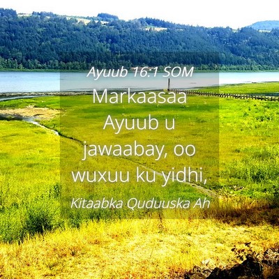 Picture 04 - Ayuub 16:1 SOM - Markaasaa Ayuub u jawaabay, oo wuxuu ku - Bible Verse Picture