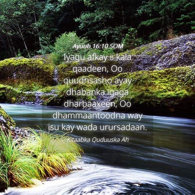 Picture 04 - Ayuub 16:10 SOM - Iyagu afkay ii kala qaadeen, Oo quudhsasho ayay - Bible Verse Picture